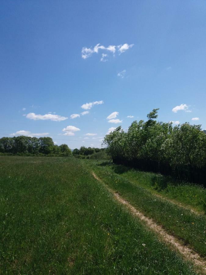Apartamento Blisko Lasu *
